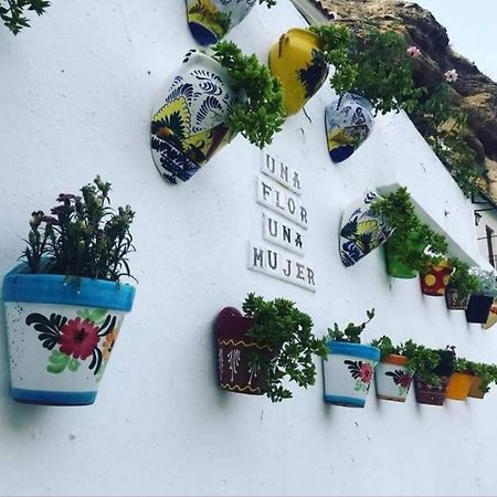 La Medina Baja Apartment Setenil De Las Bodegas Екстериор снимка