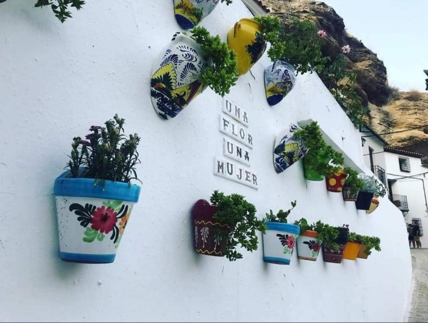 La Medina Baja Apartment Setenil De Las Bodegas Екстериор снимка
